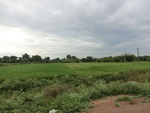 55962CIMG6694.JPG