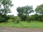 20977P1020845.JPG