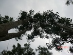 53320CIMG6600.JPG