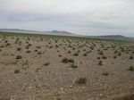 37091CIMG0888.JPG