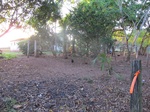 32038IMG_5725.JPG
