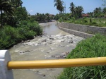 15447IMG_4323.JPG