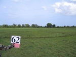 1054462-cropland-rice-fallow-a.gif