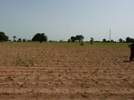 18946P1000790.JPG