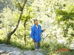 6602gt079-forest-2.jpg