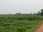 33163CIMG2400.JPG