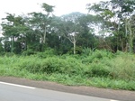 25184P1020024.JPG
