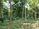 46483CIMG0772.JPG