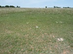 29290P1040525.JPG