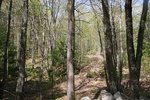 254IMG_4150.JPG