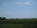 15902IMG_4450.JPG