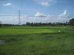 33270IMG_5600.JPG