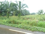 20534P1020391.JPG