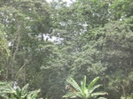 48885CIMG5222.JPG