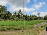 31176CIMG1038.JPG