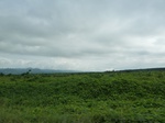 20410P1020267.JPG