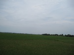 14352IMG_4694.JPG