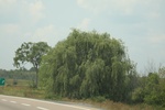 2024-09-24_16-31-51_0C95EE25-10AC-4666-99B6-79BD8C2077C6.jpeg