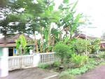 30999CIMG0861.JPG