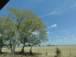 35110DSC02313.JPG