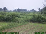 870R0015394_tag.jpg