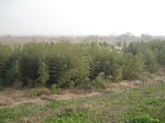 8481IMG_0306.JPG
