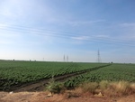 56111CIMG6812.JPG
