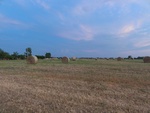26461DSC00492.JPG