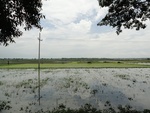 22100DSC00341.JPG