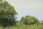 2024-08-05_14-50-03_29BA1ADF-8378-4649-8ED8-DB6086CD5F91.jpeg