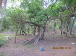 31832IMG_5312.JPG