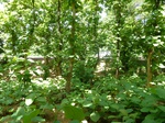 19544P1010391.JPG