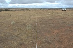 52158AGR_WA_ 044_L4.jpg