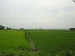 21713DSC00253.JPG