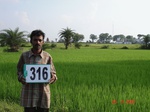 74500316d-rainfed-agriculture-rice.jpg