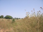 9043RIMG0121.JPG