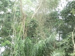 48181CIMG4518.JPG