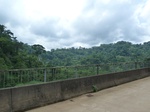 20576P1020433.JPG