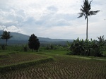 14572IMG_4938.JPG