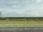 35917DSC02685.JPG