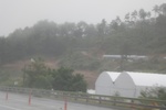 2024-08-05_13-43-56_AD7CFCCC-1F1A-49FA-BC05-EC09069C4962.jpeg