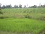 33449RIMG0189.JPG