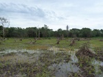 55085Berau (403).JPG