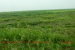 39045CIMG4582.gps.jpg