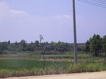 3563 131.jpg