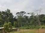 49497CIMG5834.JPG