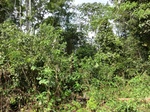 46569CIMG0858.JPG