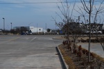 10114Field Survey 1 003.JPG