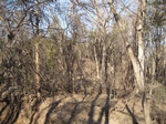 8623IMG_1248.JPG