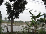 16435IMG_5220.JPG